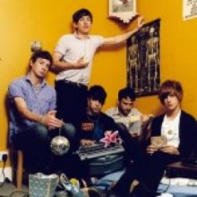 Foals